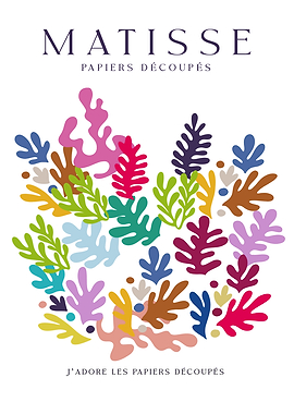 MATISSE | Explosion de couleurs