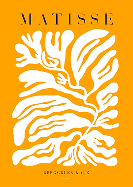 MATISSE | Plante blanche