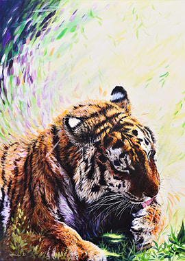 Tiger Licking Its Paw Painting