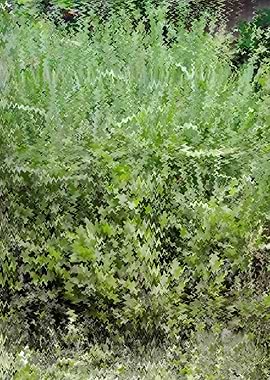 Abstract Green Foliage SBA3