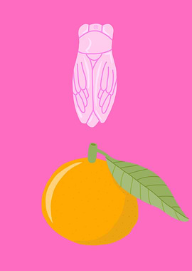 Pink Cicada and Clementine Still Life