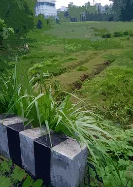 Green Field with Checkered Barrier 10