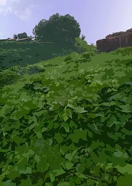 Lush Green Hillside Landscape 2