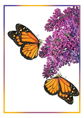 Butterflies and Lilacs