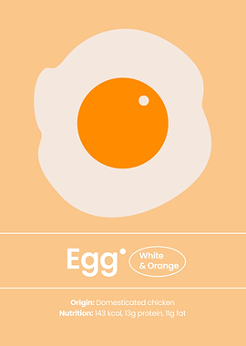 The Art of Egg