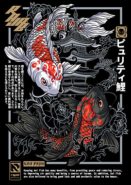 Koi Fish Purity Illustration