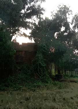 Overgrown Building in Nature FS2