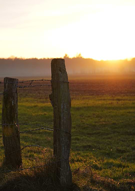 Sunset Field with Fence Posts