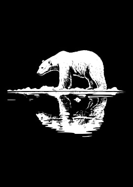 Polar Bear Reflection