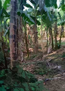 Lush Tropical Banana Tree Forest Scene FS4