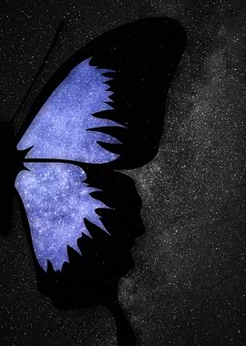 Butterfly Profile Silhouette with Starry Wings