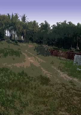 Tropical Landscape with Trees and Grass FG4