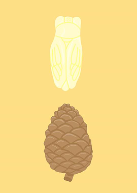Cicada and Pine Cone Illustration