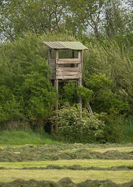 Wooden Hunting Stand in Green Landscape