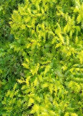 Abstract Green and Yellow Foliage Pattern Q5