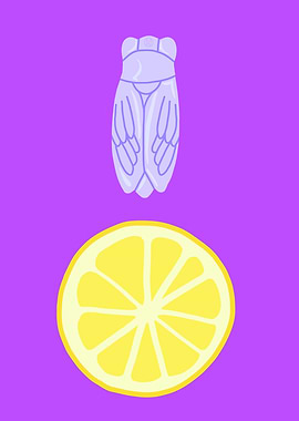 Cicada and Lemon Slice Illustration