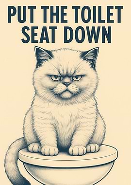 Put the Toilet Seat Down