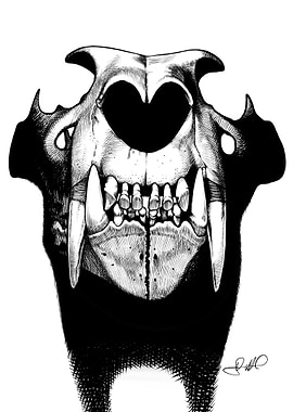 Saber-toothed Cat Skull Illustration