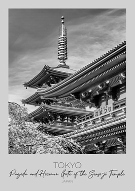 TOKYO Pagoda and Hozomon Gate