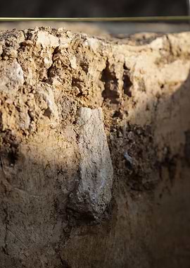Excavation Site Close-Up