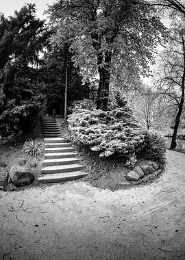 Black and White Park Stairway
