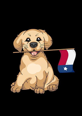 Texas Lover Kids Labrador Golden Retriever Texas Flag