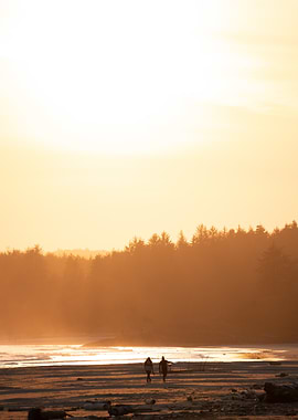 Golden Beach Walk at Sunset