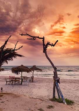 Beach Sunset with Umbrellas and Trees, Tunisia