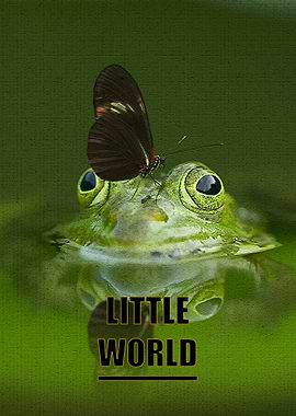 Frog and Butterfly: Little World