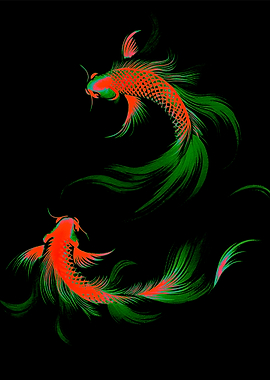 Two Koi Fish on Black Background