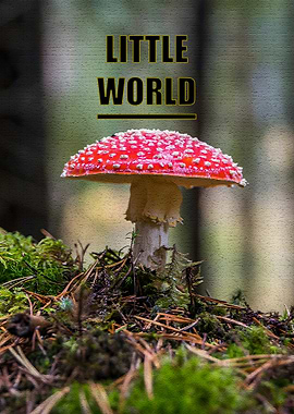 Amanita Mushroom in Forest with Text