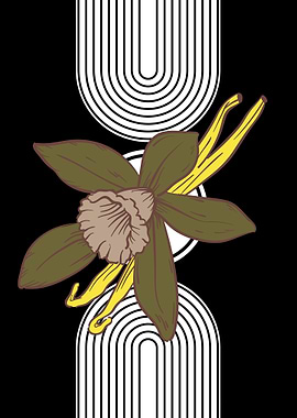 Vanilla Flower Abstract Art