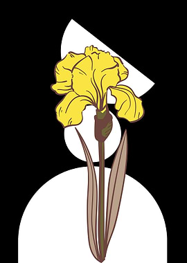 Yellow Iris Flower with Geometric Shapes