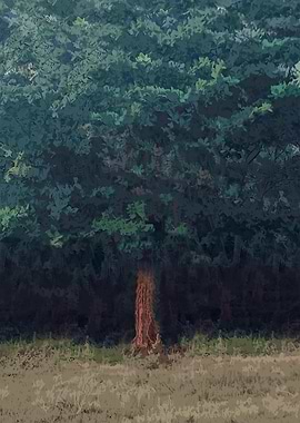 Tree in a Forest Clearing DG10