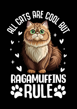 Ragamuffin Cat