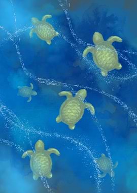 Sea Turtles in Blue Water