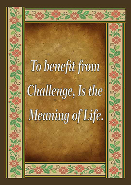 Challenge is the Meaning of Life