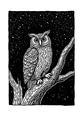 Owl Perched on Branch at Night