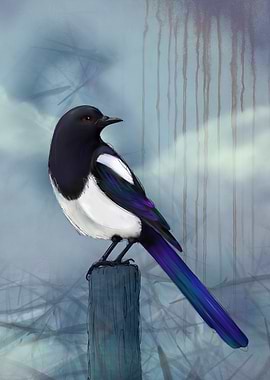 Magpie on Post Digital Art
