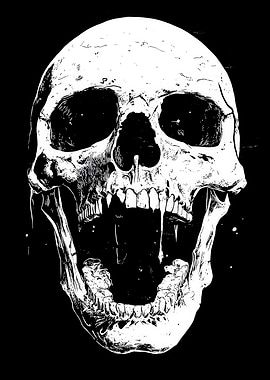 Monochrome Skull Illustration