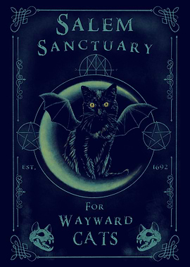 Salem Sanctuary for Wayward Cats