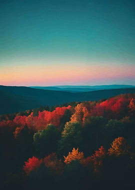 Autumn Forest at Dusk