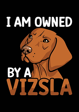 I am owned by a Vizsla