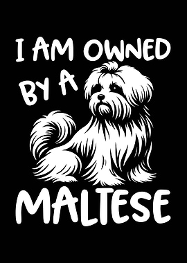 I am owned by a Maltese