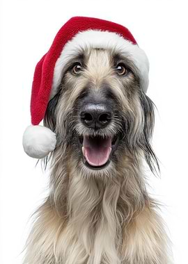 Afghan Hound Dog with Santa Hat