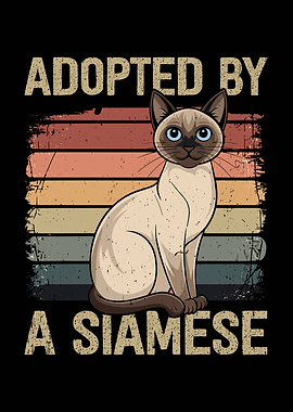 Adopted by a Siamese Cat