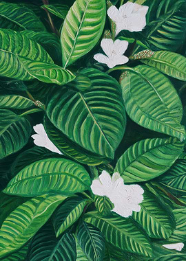 Green Leaves and White Flowers Painting