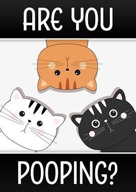 Are You Pooping? Cute Cats Looking.
