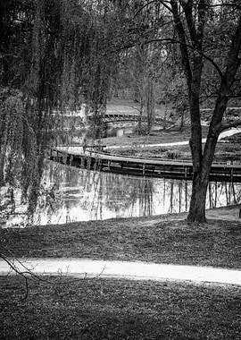 Black and White Park Landscape