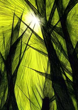 Abstract Trees with Sunlight